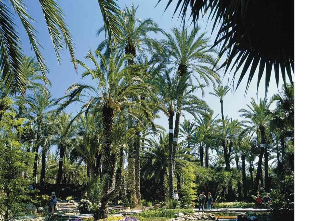 Luxury New Apartment City Centre & Beach, Alicante Esterno foto